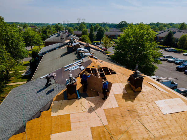 24/7 Emergency Storm Damage Roof Repair experts in Boston, GA